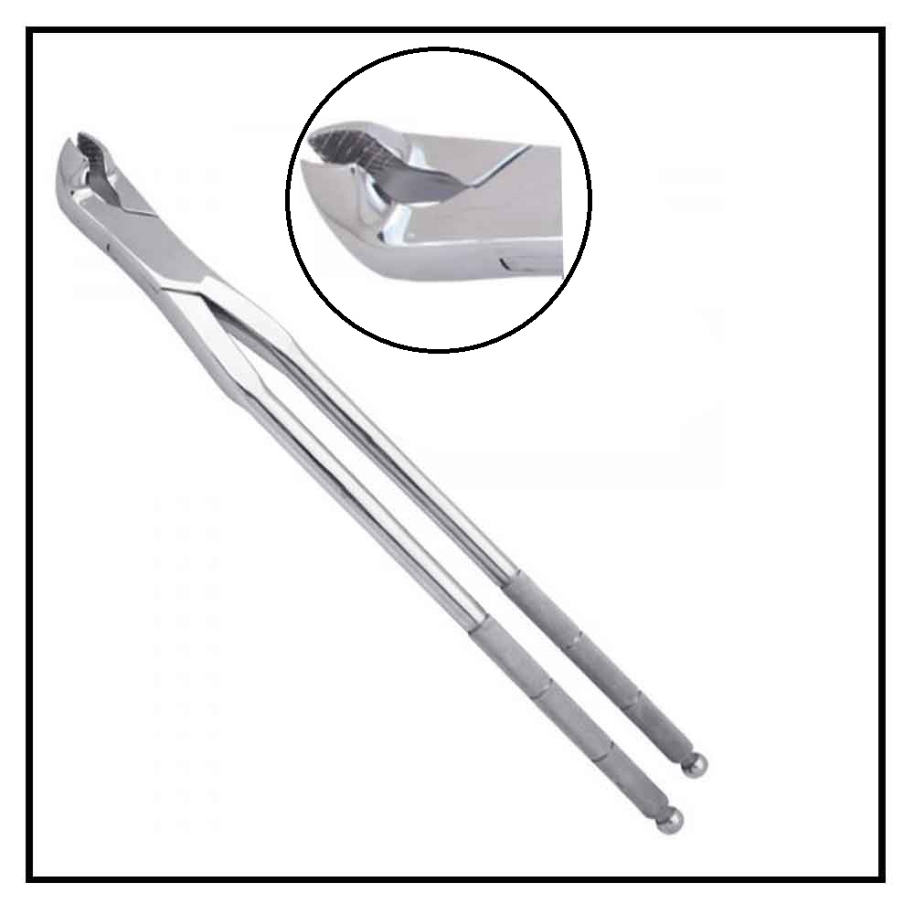 molar forcep concave jaw