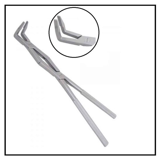 Equine Dental Fragment Forceps