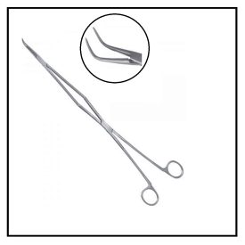 Equine Periodontal Dental Alligator Forceps