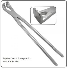 Equine Dental Forceps