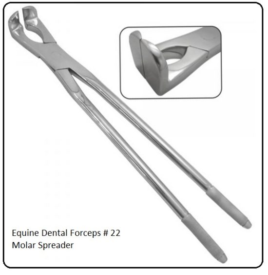 equine dentistry forcep 22