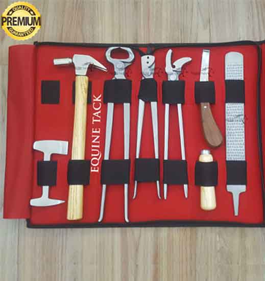 farrier tools kit