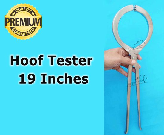 forged long hoof tester 19"