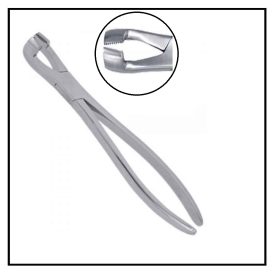 Hewsons Tooth Forceps