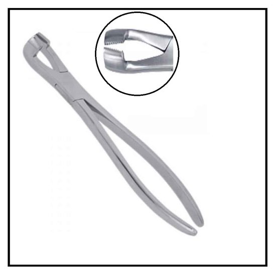 equine hewsons forceps