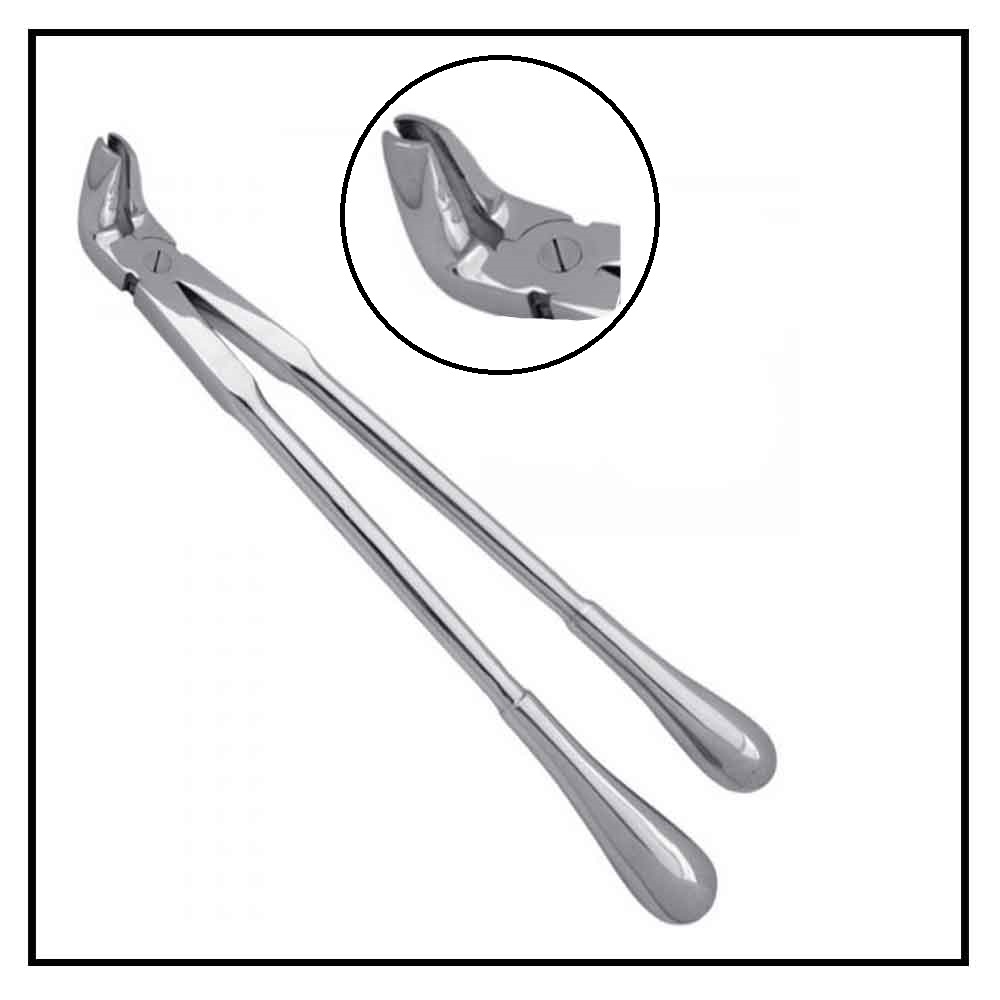 Molar Roots Fragment Forceps