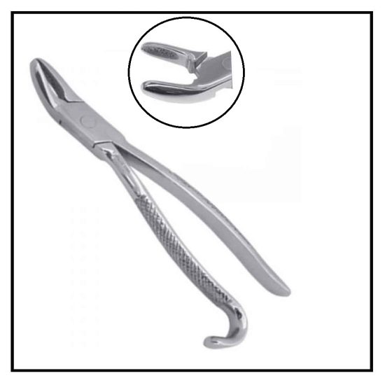 Wolf Tooth Forceps 9.5 inches