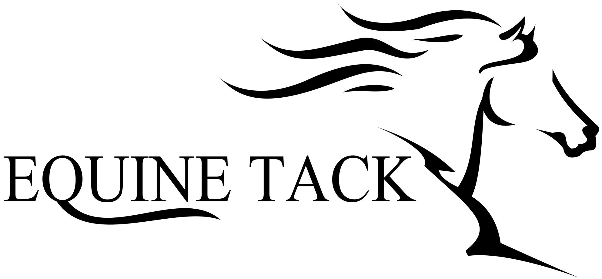 equine tack logo equine dentistry and farrier tools