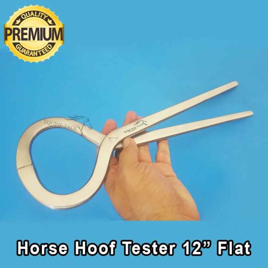 farrier horse hoof tester flat